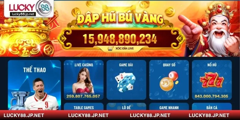 Khám phá các câu hỏi thường gặp và nhận lời giải đáp chi tiết